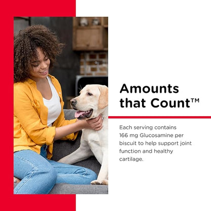 Nutri-Vet Hip & Joint Biscuits for Dogs, Tasty Glucosamine Treat, Puppy Supplements, Dog Joint Supplement, Small Sized Biscuit with 166mg Glucosamine, Puppy Essentials, 16 oz (Pack of 2)