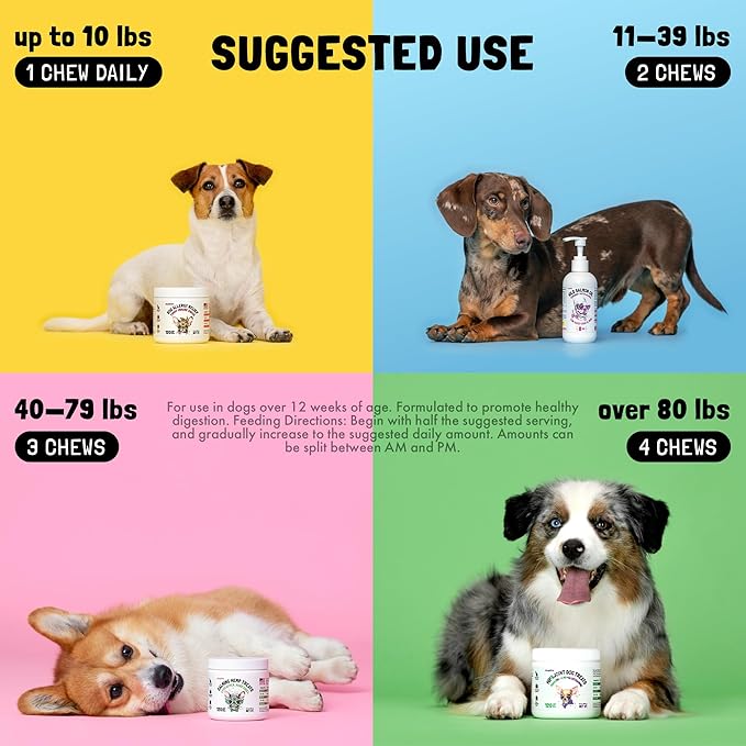 Anal Gland Relief Chews for Dogs Fiber & Digestive Support Supplement Soft Treats for Healthy Bowel & Gland Function Helps Reduce Scooting Promotes Dog Health & Comfort 120 pcs