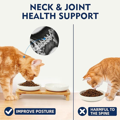 Elevated Cat Bowls for Indoor Cats – Raised Bamboo Cat Food Table with 2 Ceramic Dishes, Adjustable Height (4.25"/3.07"), Whisker Friendly Feeding Station