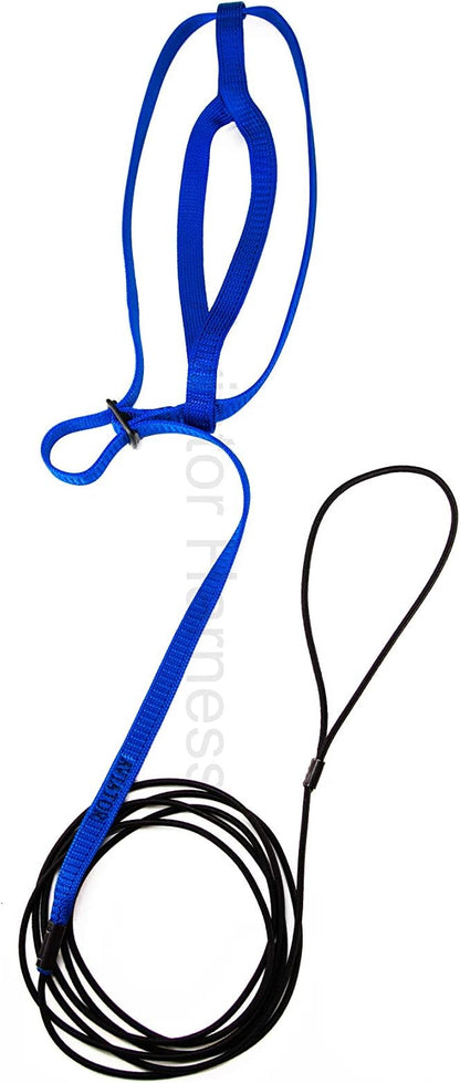 The AVIATOR Pet Bird Harness and Leash: Medium Blue