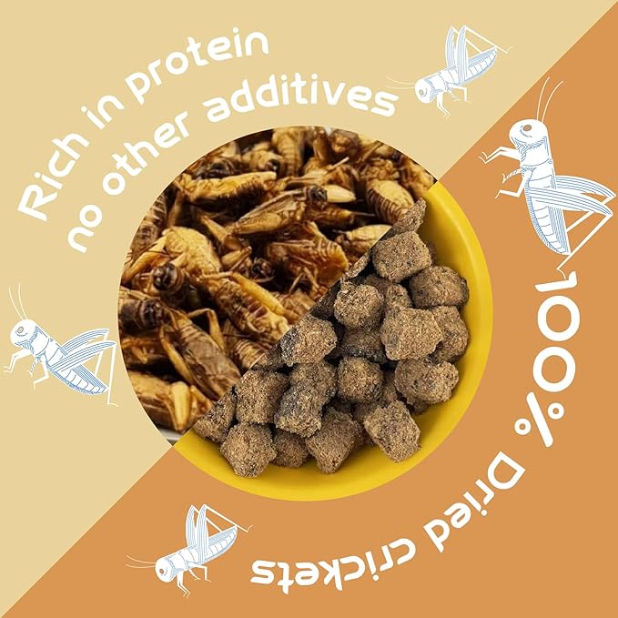 Naturals Freeze-Dried Cricket & Lizards Food Compressed Squares-Bite-Sized for Bearded Dragons, Wild Birds, Chicken, Fish & Reptiles 5.82 OZ