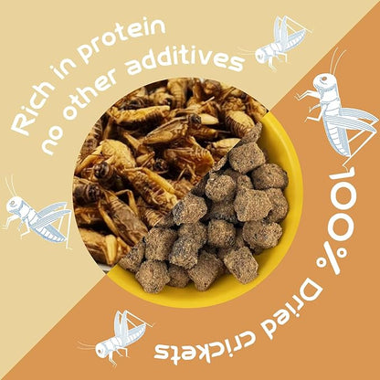 Naturals Freeze-Dried Cricket & Lizards Food Compressed Squares-Bite-Sized for Bearded Dragons, Wild Birds, Chicken, Fish & Reptiles 5.82 OZ