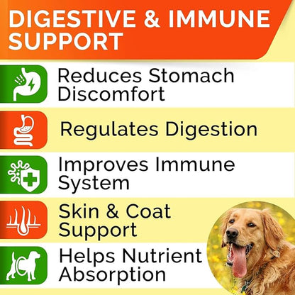 StrellaLab Dog Probiotics Treats for Picky Eaters (180ct) - Digestive Enzymes + Prebiotics - Chewable Fiber Supplement - Allergy, Diarrhea, Gas, Constipation, Upset Stomach Relief - Improve Digestion