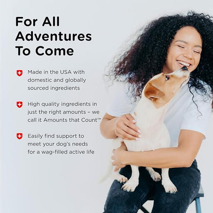 Nutri-Vet Skin & Coat Biscuits for Dogs, Tasty Dog Treat, Skin and Coat Supplement, Omega 3 Fish Oil, Small Sized Biscuit, Made with Omega 3 and Biotin, Fish Oil Treat for Pets, 16 oz(Pack of 2)