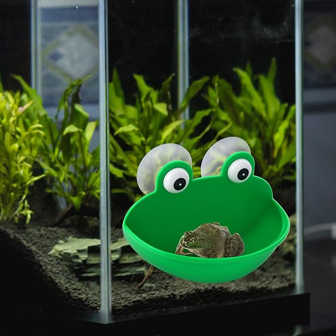 Frog Habitat Frog Dish Holder with Suction Cups, Cute Frog Terrarium Decor Fish Tank Decoration for Tree Frog Toad Tadpole (1 Pack)