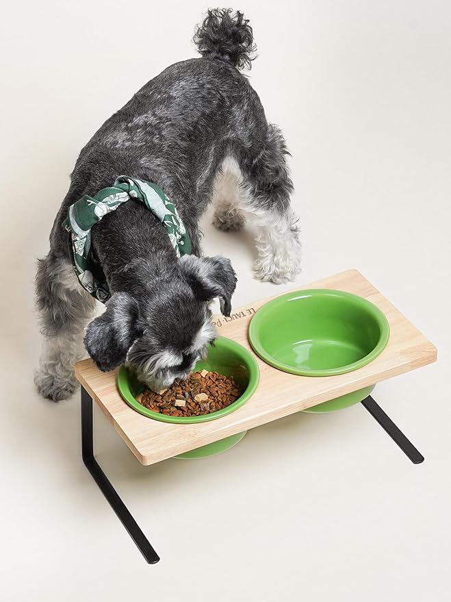 Elevated Dog Bowls, Raised Dog Bowl Stand with Two 6.5 inch Ceramic Bowl, Non-Slip Puppy Food and Water Bowls, Dogs Feeder for Small and Medium Breed,Green
