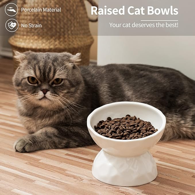 OMAYKEY Ceramic Raised Cat Bowls, Tilted Elevated Cat Food and Water Bowl Set, Porcelain Stress Free Pet Feeder Dish for Cats and Small Dogs, Dishwasher and Microwave Safe, White & White, Set of 2