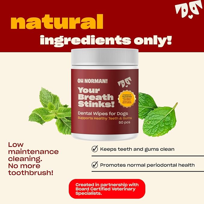 OH NORMAN! Dog Dental Wipes - Vet-Approved Pet Dental Finger Wipes for Oral Hygiene & Fresh Breath - Alternative to Finger Toothbrush for Dogs - No Fuss Dog Cleaning Supplies for Daily Use - 50 pcs