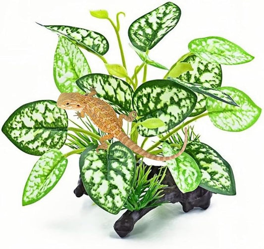 Reptile Artificial Plants, Terrarium Plants Decorations Supplies, Amphibian Habitat Hideout Tank Accessories, Rainforest Ground Plant