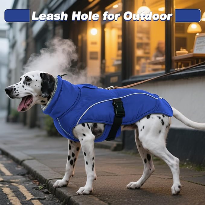 DENTRUN Medium Dog Winter Jacket - Warm Reflective Windproof Coat, Adjustable Neck & Snap Closure, Water Repellent Thick Fleece Vest, Fleece Lined for Beagle Pug, Blue, M