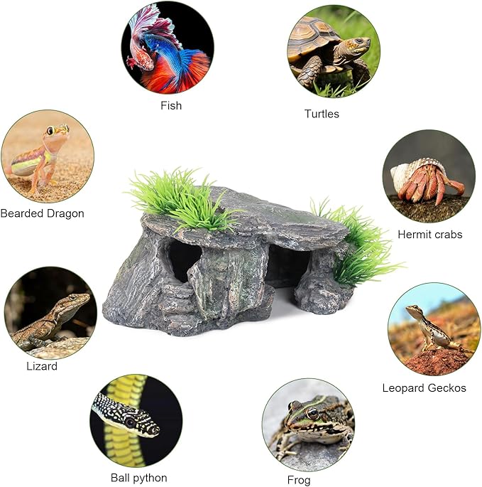 Premium Small Fish Tank Decorations, Reptile Tank Accessories, Turtle Tank Accessories, Natural Reptile Hide for Bearded Dragon, Professional Turtle Basking Platform (Small)