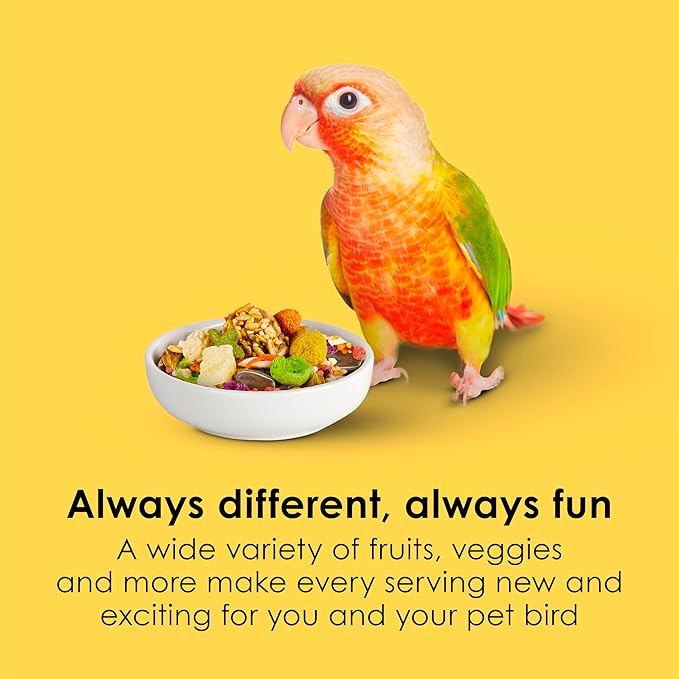 Kaytee Fiesta Conure Food, Nutritious and Fun Blend, Supports Skin, Feather, Digestion, Brain and Heart Health, 4.5 pounds