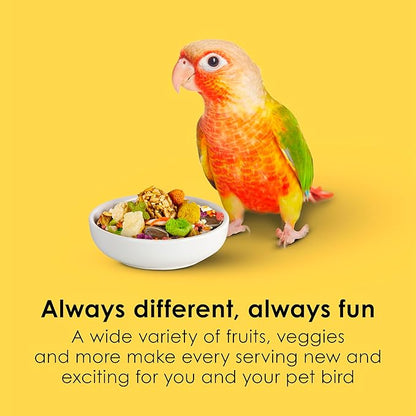 Kaytee Fiesta Conure Food, Nutritious and Fun Blend, Supports Skin, Feather, Digestion, Brain and Heart Health, 4.5 pounds