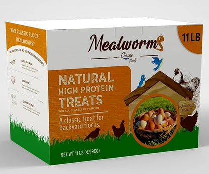 11lb Dried mealworms - High Protein, Pure Natural, Delicious - Ideal for Chickens, Birds, Ducks, Lizards, Turtles, Fish, and Reptiles, 11lbs Meal Worms