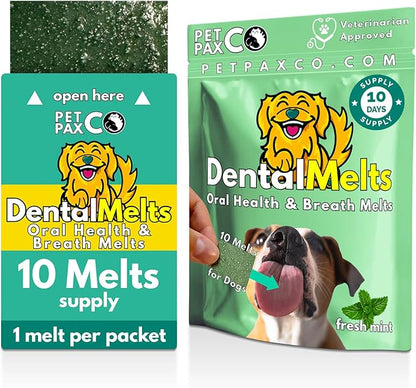 Bad Breath Oral Support for Dogs 5 in 1 – 10 Oral Melts – Natural Sage, Spirulina, Apple Cider Vinegar – Dog Dental Care Products & Breath Freshener – Fast Dissolving Dog Breath Treats