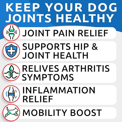 BARK&SPARK Liquid Collagen + Glucosamine for Dogs - 16 Fl Oz Easy to Serve Joint Supplement - Advanced Formula with Chondroitin, MSM, Hip & Joint + Skin & Coat Care - Made in USA