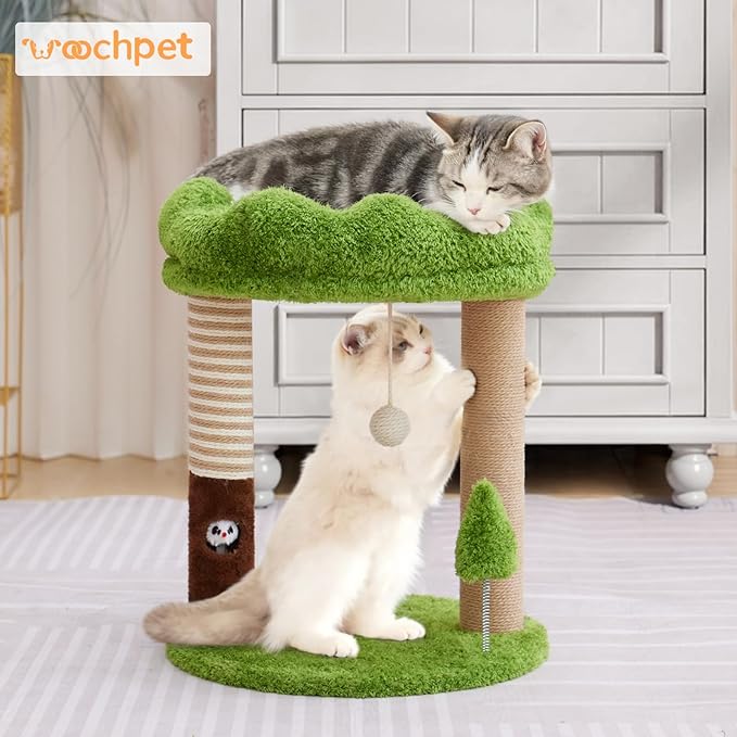 Small Cat Tree with Perch Cat Bed and Removable Cover 23 inch Tall Cat Tower with 2 Scratching Sisal Scratching Posts and Cat Toys for Kittens and Adult Cats（Green）