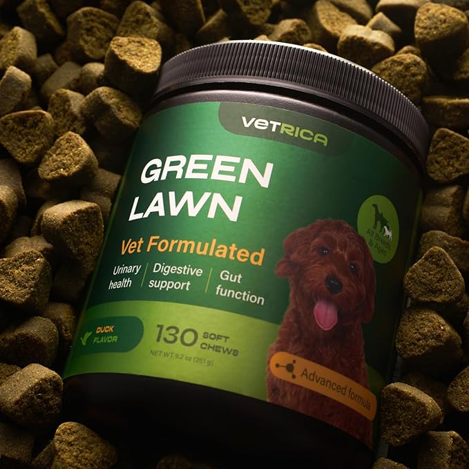 Dog Urine Neutralizer for Lawn - Grass Burn Spot Chews for Dogs - Dog Pee Grass Spot Saver - Green Lawn Treats with Enzymes - Digestive and Gut Health Support Chews - Canine UTI Support Supplement