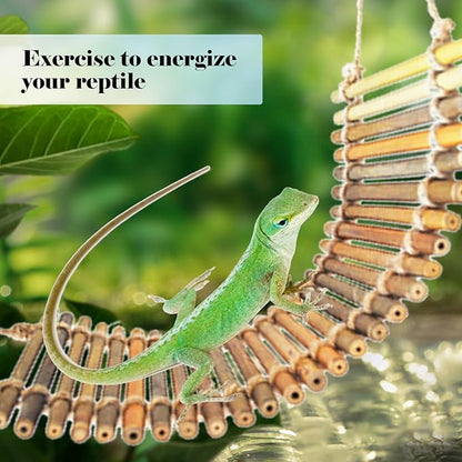 kathson Reptile Bridge for Terrarium,Bearded Dragon Wooden Bridges Gecko Hammock with Hanging Plants Lizard Lounger Bamboo Ladder Reptiles Tank Accessories Climbing for Chameleons Geckos Snakes (3Pcs)