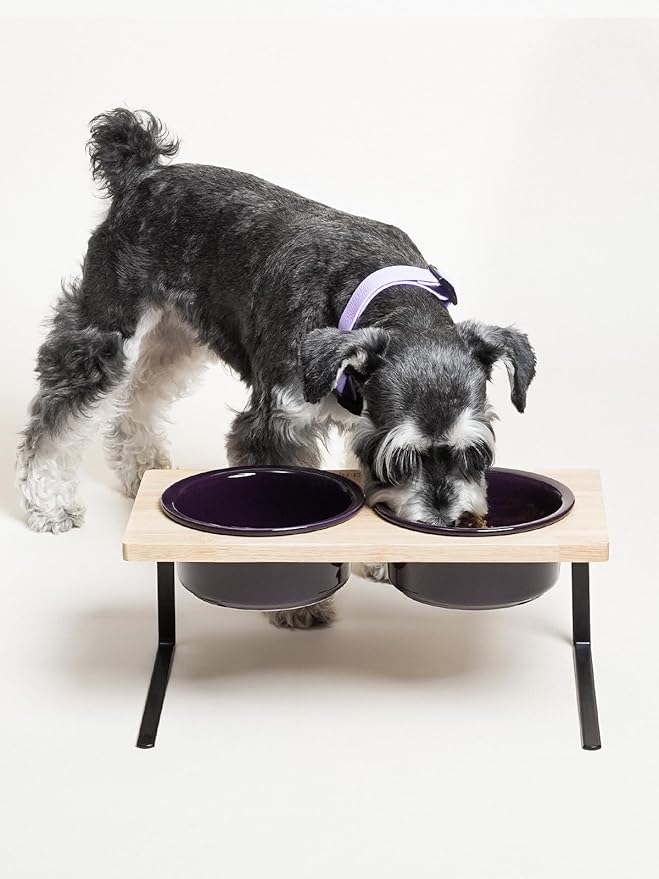 Elevated Dog Bowls, Raised Dog Bowl Stand with Two 6.5 inch Ceramic Bowl, Non-Slip Puppy Food and Water Bowls, Dogs Feeder for Small and Medium Breed,Purple