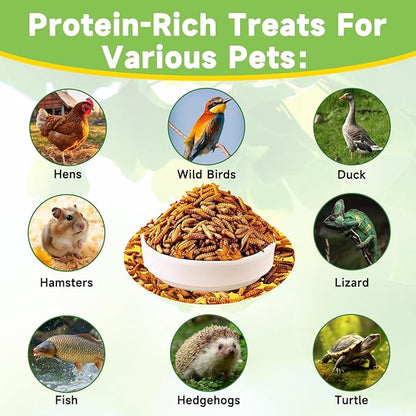 9LB Dried Black Soldier Fly Larvae Treat for Chicken, 100% Natural Non-GMO More Calcium Than Dried Mealworms High Protein Chicken Feed for Birds, Ducks, Layer Hens