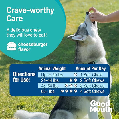 Good Mouth Dental Chews for Dogs – Controls Plaque & Tartar, Promotes Fresh Breath, Supports Gum & Oral Health – Clinically Studied, Cheeseburger Flavor, No Mess, 60 Soft Chews