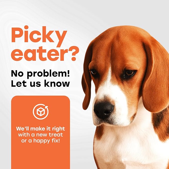 Glucosamine for Dogs 500mg – Hip & Joint Support Treats with Collagen, Chondroitin & Turmeric – PhD Endorsed Formula - Mobility Supplement for Dogs – 140 Chews – Beef Flavor – Made in USA