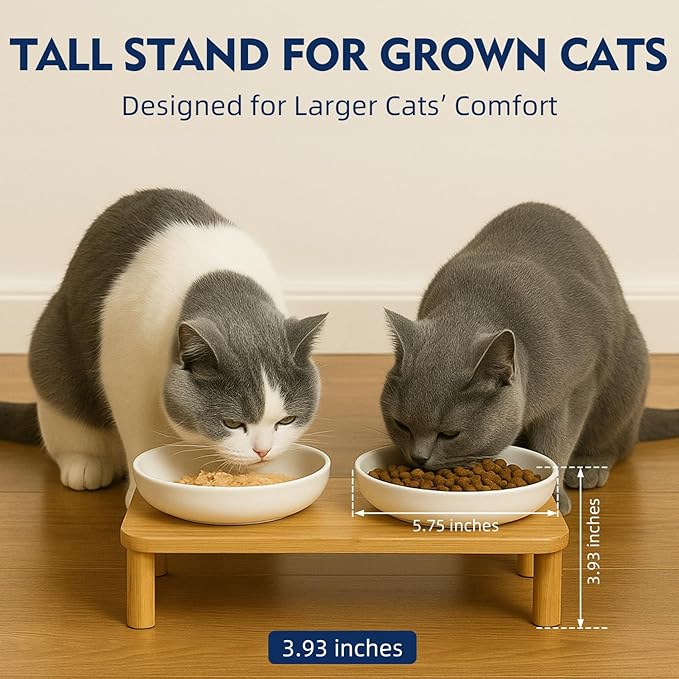 Elevated Cat Bowls for Indoor Cats – Raised Bamboo Cat Food Table with 2 Stainless Steel Dishes, Adjustable Height (4.25"/3.07"), Whisker Friendly Feeding Station