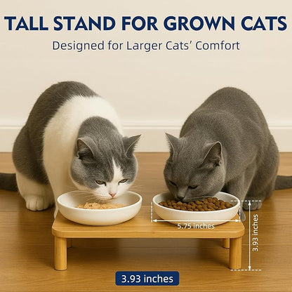 Elevated Cat Bowls for Indoor Cats – Raised Bamboo Cat Food Table with 2 Stainless Steel Dishes, Adjustable Height (4.25"/3.07"), Whisker Friendly Feeding Station