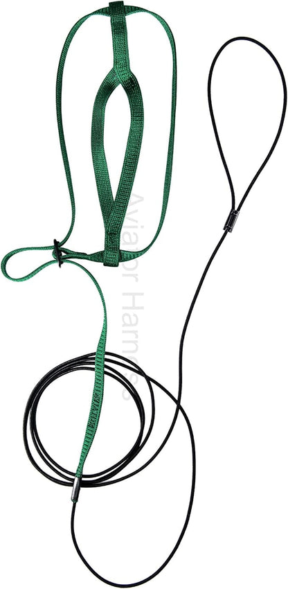 The AVIATOR Pet Bird Harness and Leash: Medium Green