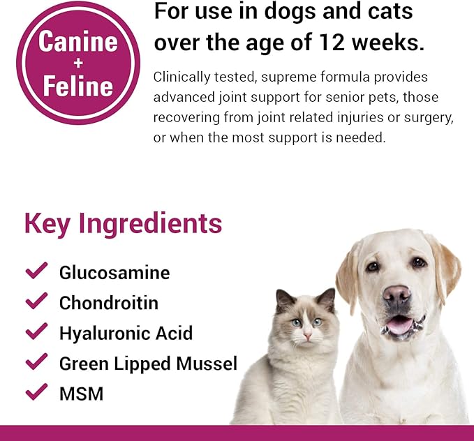 Vet Classics ArthriEase-Gold Hip & Joint Support for Dogs, Cats– Pet Health Supplement Powder – Alleviates Aches, Discomfort – For Flexibility, Healthy Joint Function – Antioxidants – 5 Oz