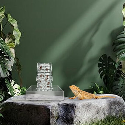 Bearded Dragon Feeder, Transparent Acrylic Chameleon Feeding Bowl, Reptile Terrarium & Aquarium Accessories, Climbable Bug Food Bowl for Lizard Frog Gecko
