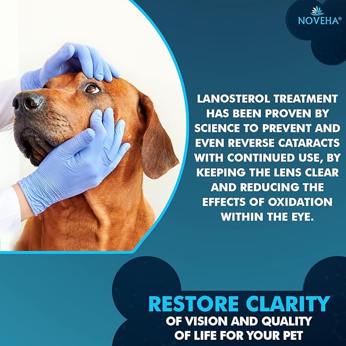 NOVEHA Pet Drops | Advanced Lanosterol Solution + NAC (2 x 10 mL)
