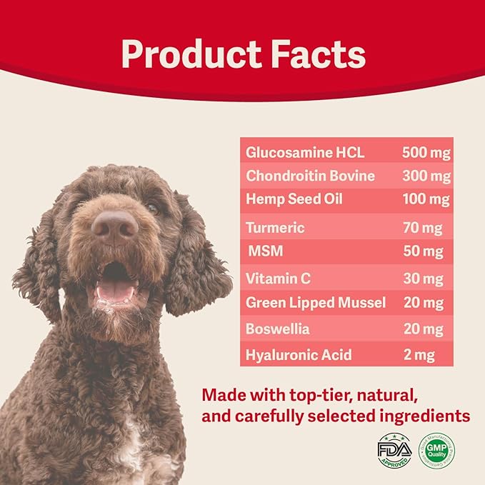 Hip & Joint Supplement for Dogs – Advanced Mobility Support with Glucosamine, Chondroitin, MSM, Turmeric & Green Lipped Mussel – 120 Soft Chews for Large, Medium & Small Dogs – Beef Flavor