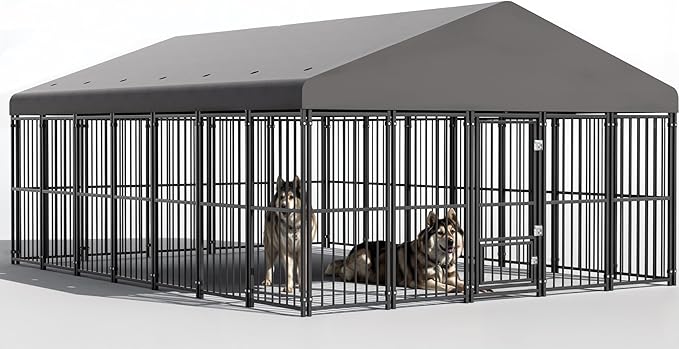 Large Dog Kennel Outside 10X14FT Heavy Duty Dog Cage with Feeding Door, Outdoor Dog Run with Roof and Double Safety Locks for Pets Enclosures