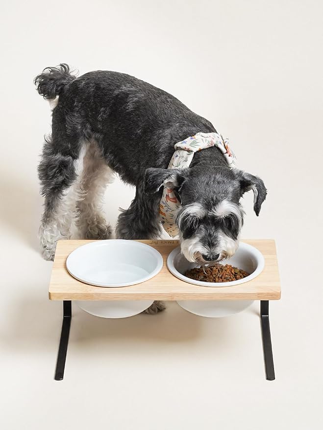 Elevated Dog Bowls, Raised Dog Bowl Stand with Two 6.5 inch Ceramic Bowl, Non-Slip Puppy Food and Water Bowls, Dogs Feeder for Small and Medium Breed, White