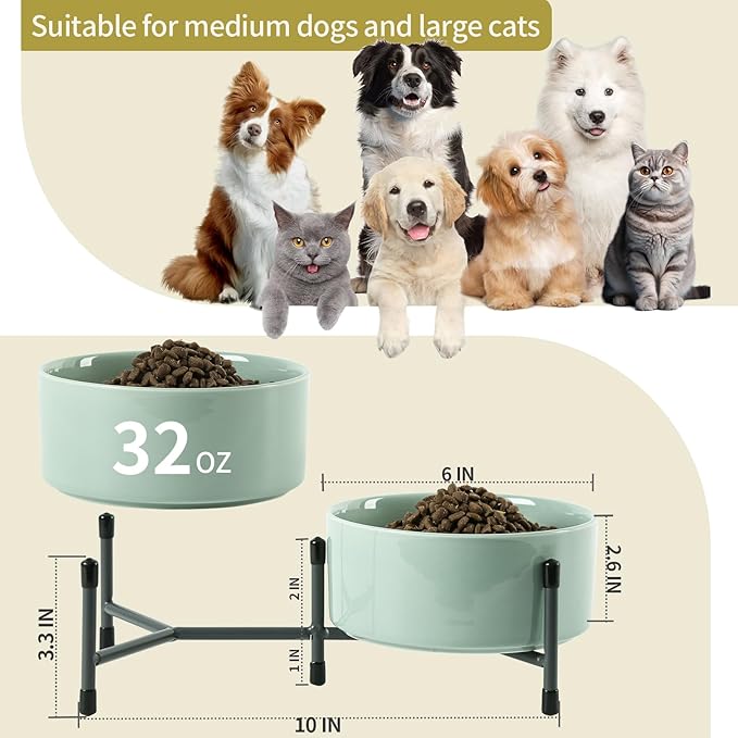 OMAYKEY 32 OZ Ceramic Dog Cat Bowl Set of 2 with Elevated Metal Stand - 6 Inch Ceramic Round Pet Food and Water Feeder Bowl Dish for Cats & Dogs - Light Green