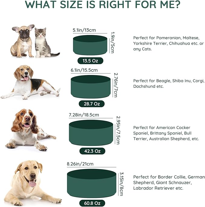 SPUNKYJUNKY 42OZ Ceramic Dog and Cat Bowl, Modern Cute Weighted Food Water Bowl for Replacement Green (2 Pack)