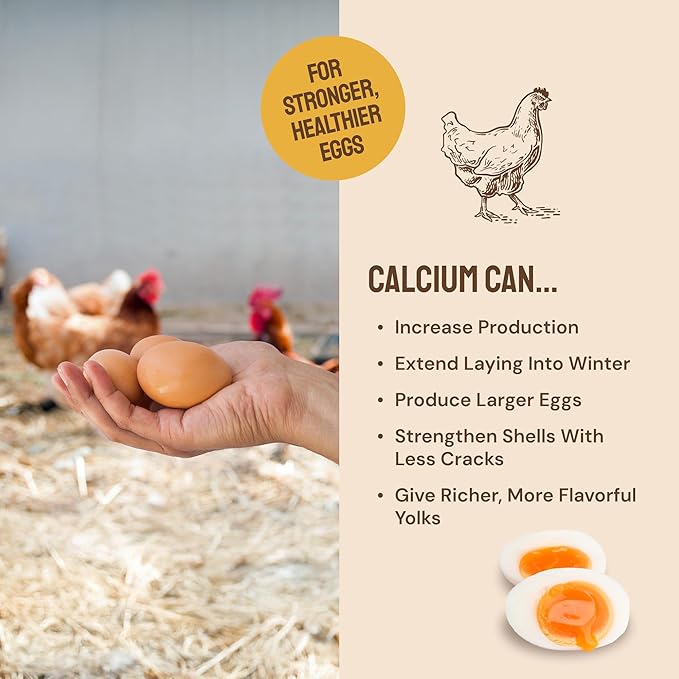 10lb Grubs & Grits Organic Chicken Feed - 3 Grub Blend with Oyster Shells & Grits - Dried Mealworms for Chickens Plus Large & Small Black Soldier Fly Larvae - Food Designed for Foraging