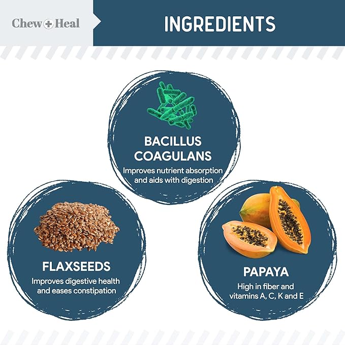 Probiotics for Dogs with Digestive Enzymes - 120 Soft Chews - Supports Healthy Digestive Tract, Helps Nutrient Absorption and Food Digestion - Probiotic & Prebiotic Dog Fiber and Gut Health Supplement