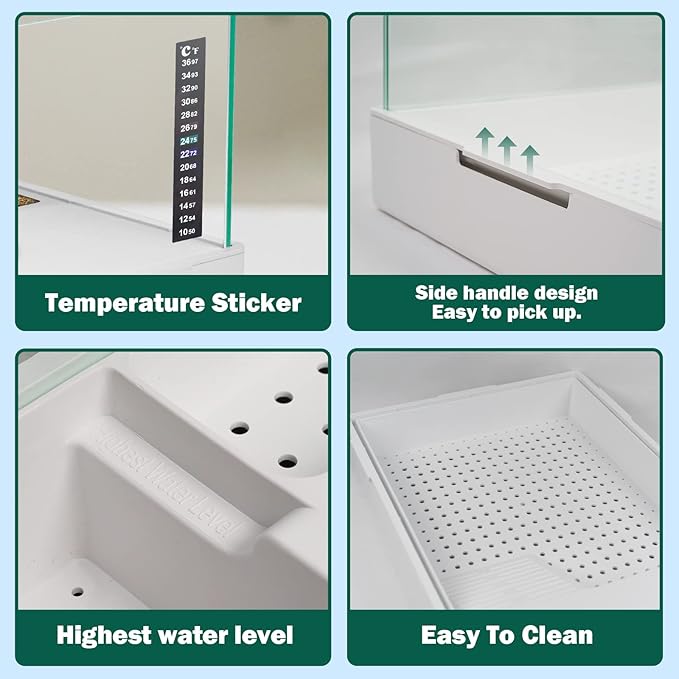 BETAZOOER Turtle Tank with Adjustable Water Pump Filter, Full View Visually Tortoise Aquarium Habitat, Glass Material Easy Changing Water&Clean for Small Amphibious Creatures Reptiles 15.7"×11.8"×10"