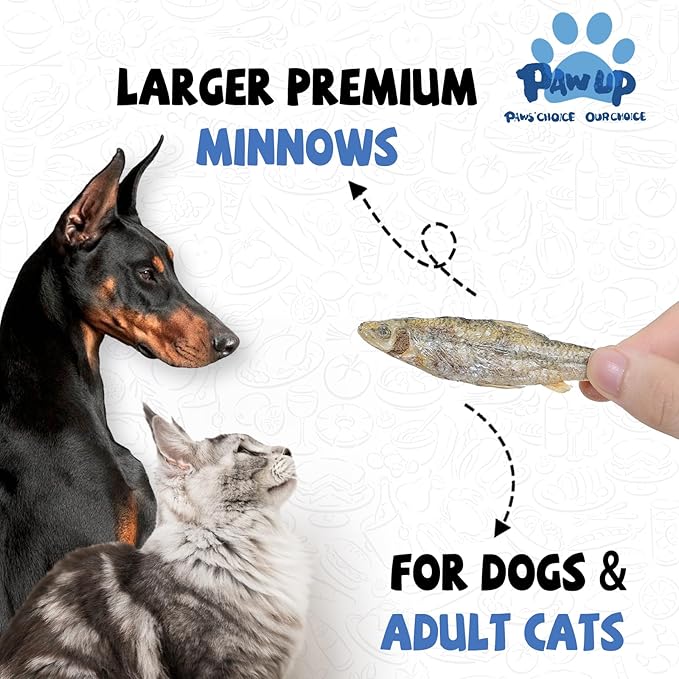 Freeze Dried Minnows Cat Treats – 100% Raw Single-Ingredient Pet Fish Snacks – Rich in Omega-3, Grain-Free – Healthy Training Rewards & Meal Toppers for Dogs & Cats, 2.8 oz