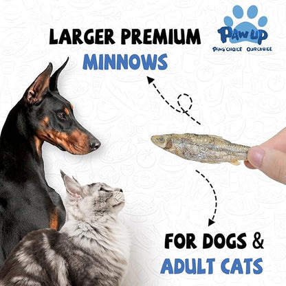 Freeze Dried Minnows Cat Treats – 100% Raw Single-Ingredient Pet Fish Snacks – Rich in Omega-3, Grain-Free – Healthy Training Rewards & Meal Toppers for Dogs & Cats, 2.8 oz