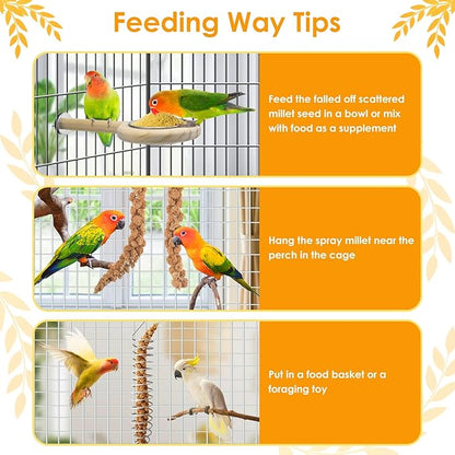 KATUMO 1.1LB Spray Millet Treat for Pet Birds, Natual Sun-Dried Bird Millet Parrot Food for Parakeet Budgie Cockatiel Finches Lovebird Conure Parrots Hamster