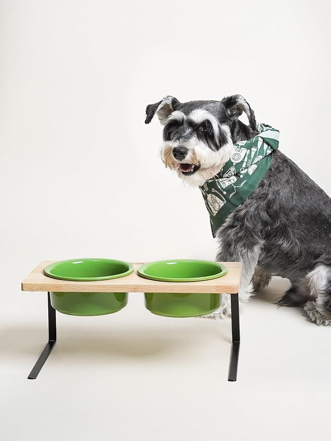 Elevated Dog Bowls, Raised Dog Bowl Stand with Two 6.5 inch Ceramic Bowl, Non-Slip Puppy Food and Water Bowls, Dogs Feeder for Small and Medium Breed,Green