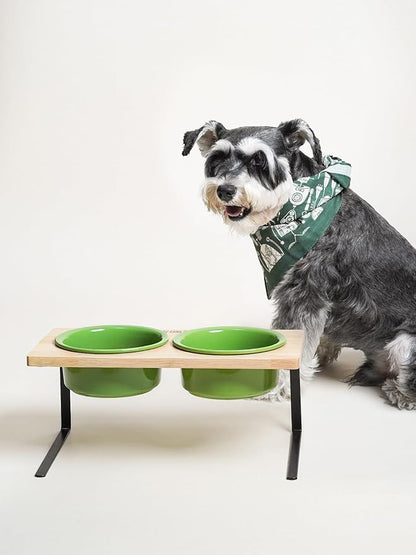 Elevated Dog Bowls, Raised Dog Bowl Stand with Two 6.5 inch Ceramic Bowl, Non-Slip Puppy Food and Water Bowls, Dogs Feeder for Small and Medium Breed,Green