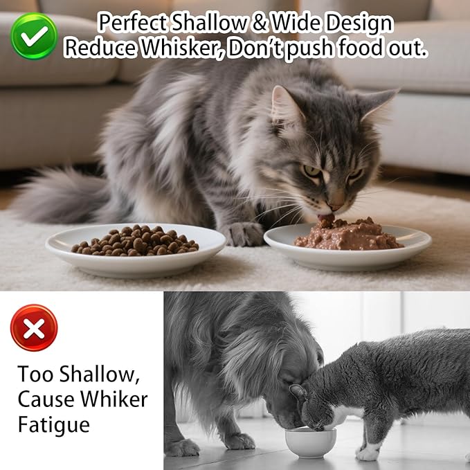 Cat Food Bowl Set of 6, Ceramic Cat Bowls, Anti Whisker Fatigue Cats Bowl Set,5.9 Inches Shallow Wide Kitten Plates for Wet/Dry Food, Indoor Pets (Fish Bone)