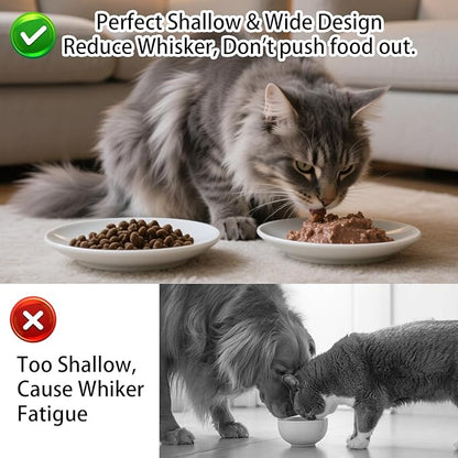 Cat Food Bowl Set of 6, Ceramic Cat Bowls, Anti Whisker Fatigue Cats Bowl Set,5.9 Inches Shallow Wide Kitten Plates for Wet/Dry Food, Indoor Pets (Fish Bone)