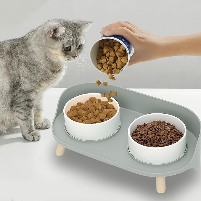 Elevated Dog Bowls Set, Ceramic Pet Food & Water Bowls with Non-Slip Stand, No Spill Design for Cats/Small Medium Dogs Gray