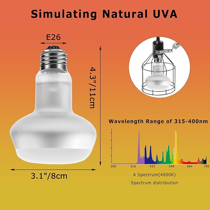 100W Intense Basking Spot Lamp – UVA Daylight Heat Bulb for Reptiles, Simulates Natural Sunrise and Sunset, Enhances Natural Behavior, Suitable for Bearded Dragons, Turtles, Geckos | 2 Pack